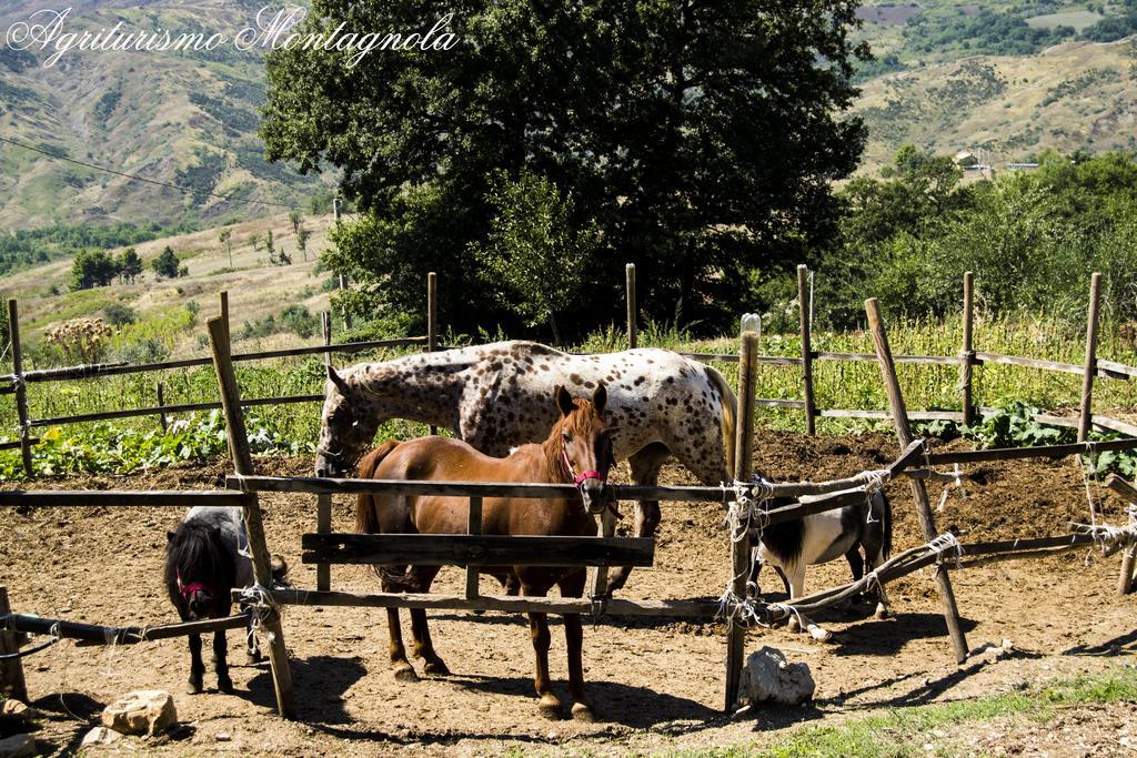 Agriturismo Montagnola Abruzzo Casalanguida Εξωτερικό φωτογραφία