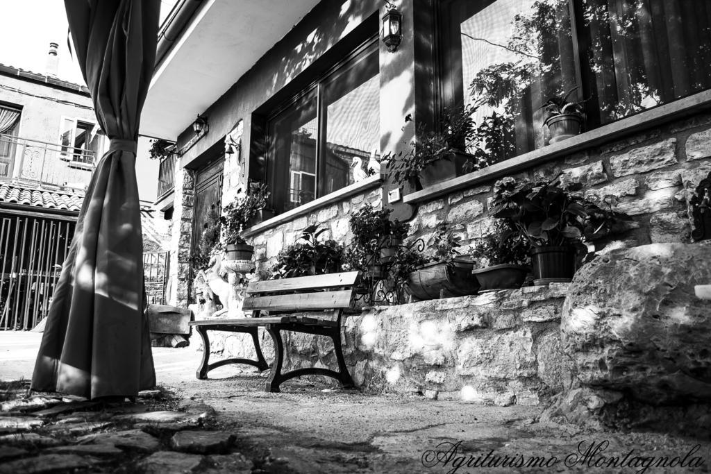 Agriturismo Montagnola Abruzzo Casalanguida Εξωτερικό φωτογραφία
